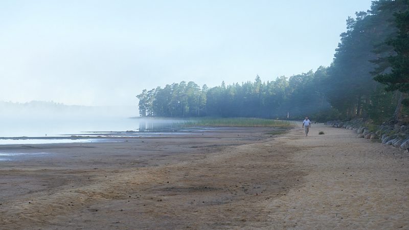 Person går utmed strandkanten vid en sjö med skog i bakgrunden